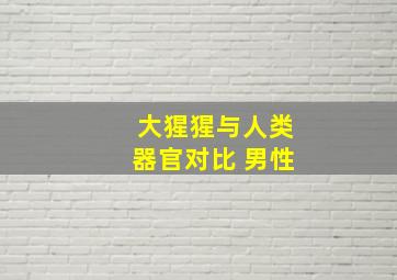 大猩猩与人类器官对比 男性